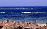 264-Marsa Alam,barriera corallina,16 agosto 2007